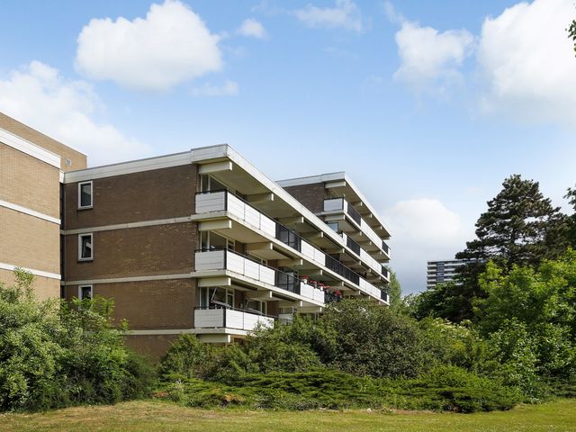 Hammarskjöldlaan 695, Rijswijk