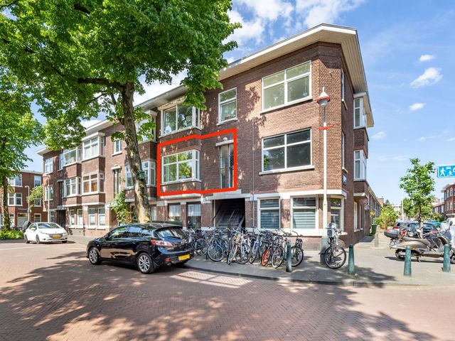 Linnaeusstraat 245, Den Haag