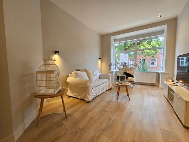Linnaeusstraat 245, Den Haag