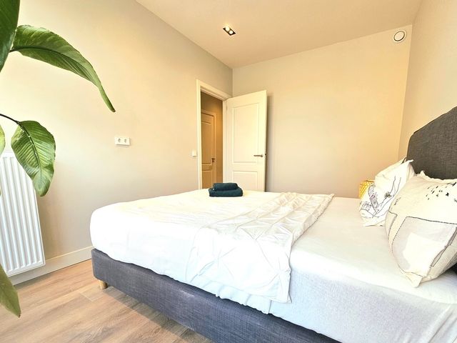 Linnaeusstraat 245, Den Haag