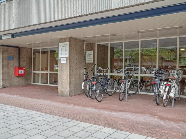 Aert van Neslaan 243, Oegstgeest