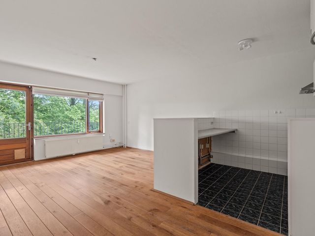 Aert van Neslaan 243, Oegstgeest