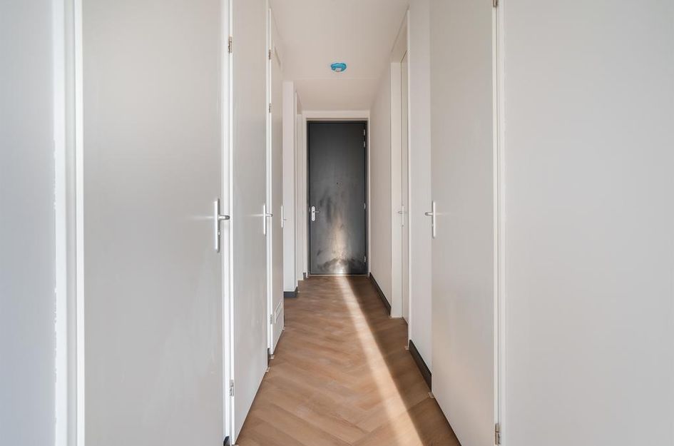 Mies van der Rohestraat 29