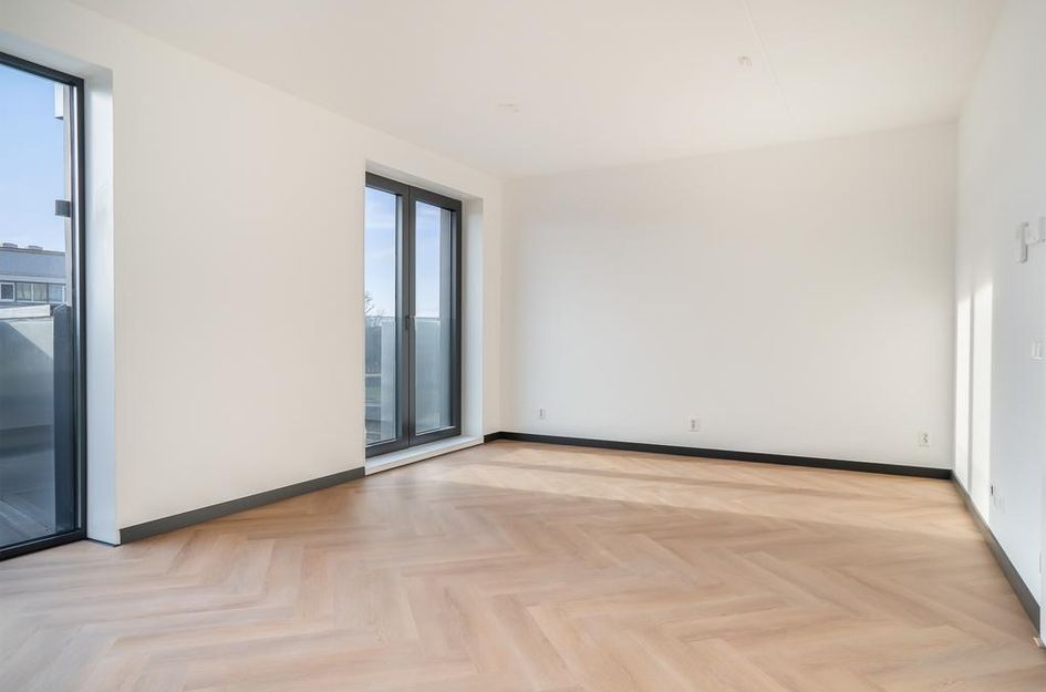 Mies van der Rohestraat 29
