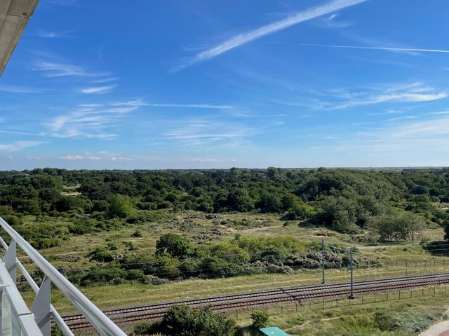 Galileistate 183, Zandvoort