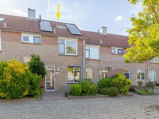 Wierbalg 1977, Julianadorp