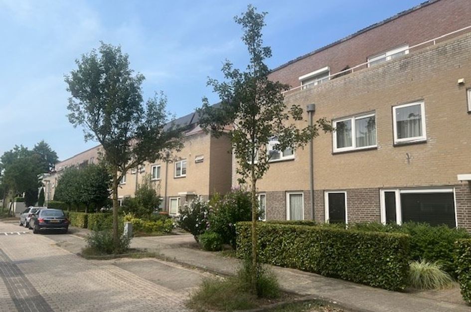 Meester van Ierselstraat 8