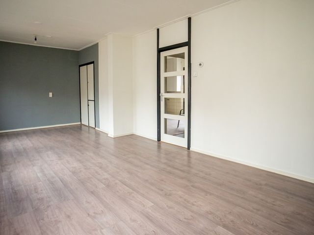 Laat 204, Alkmaar