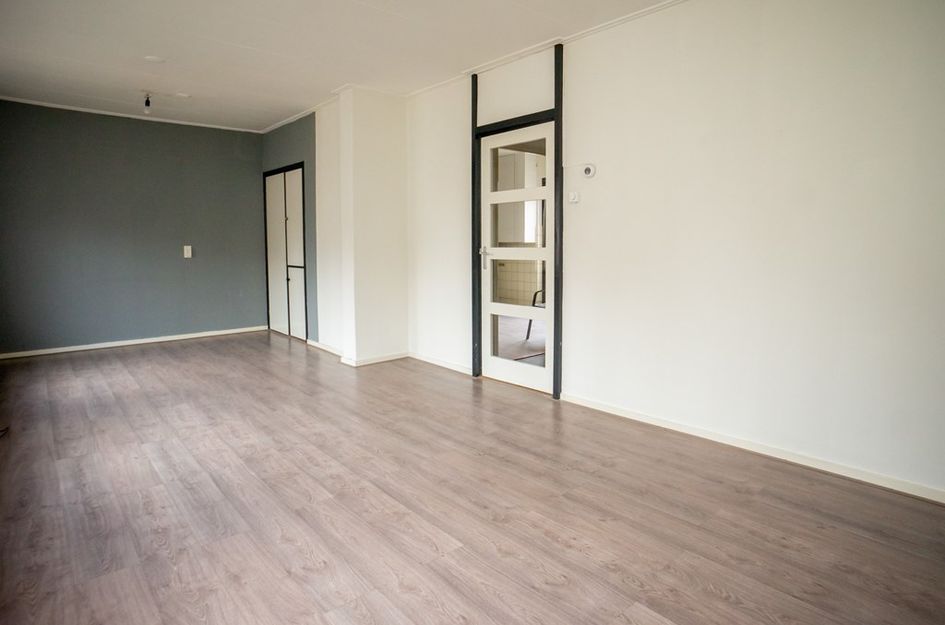 Laat 204