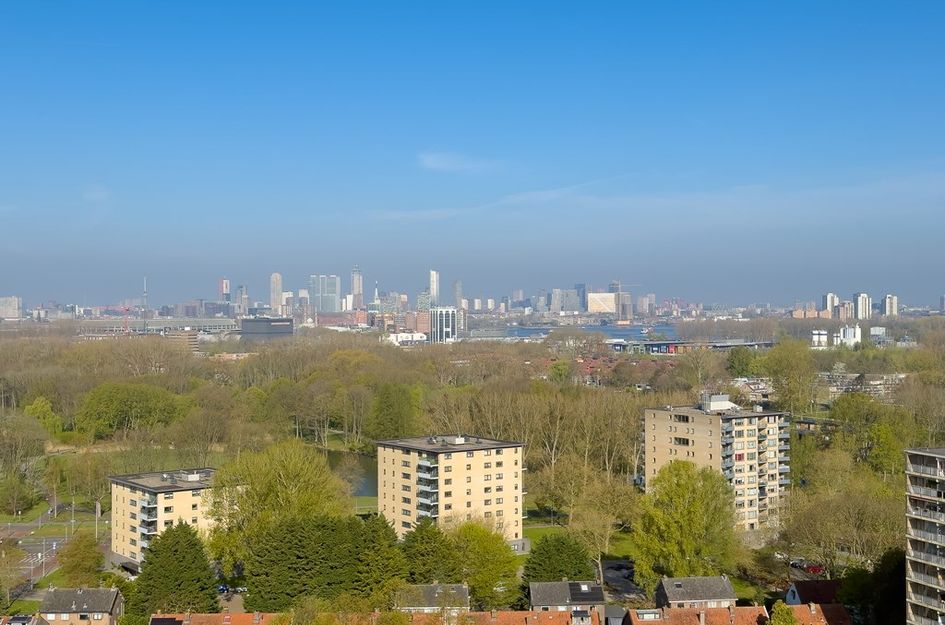 Koningswaard 263