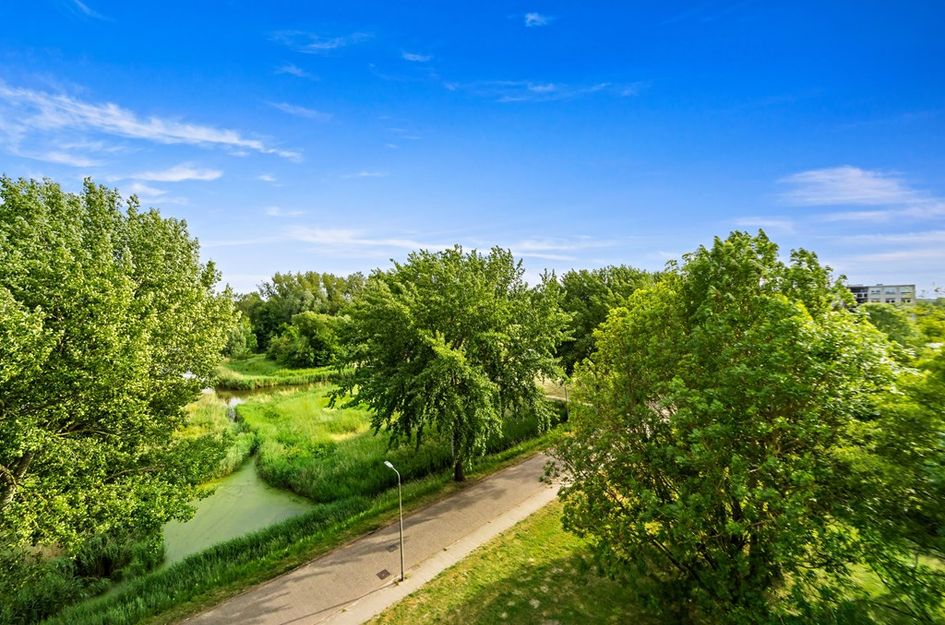 Arendlaan 52