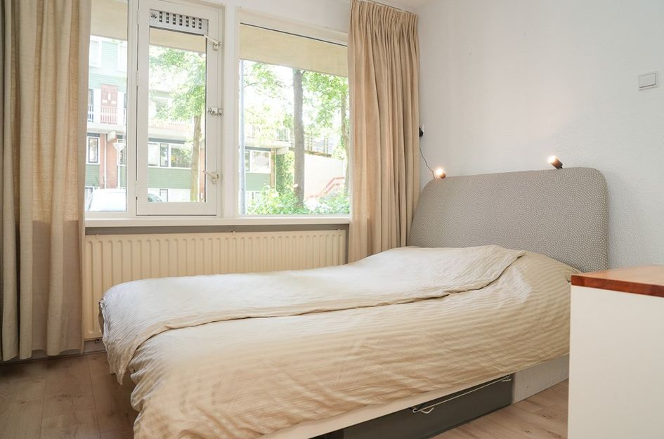 Hondsrug 249