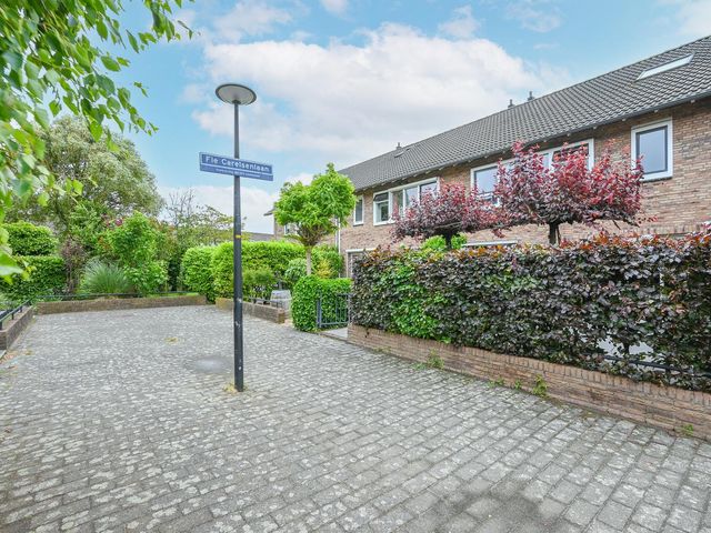 Fie Carelsenlaan 82, 's-Gravenhage
