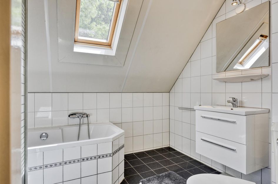 Den Heymit 14
