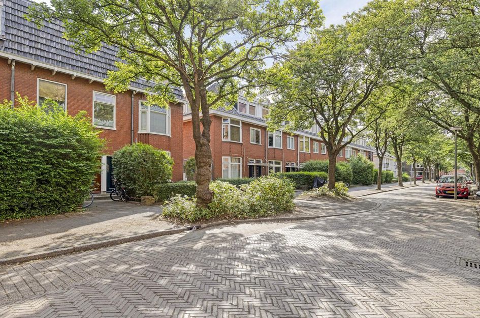 Professor Rankestraat 39