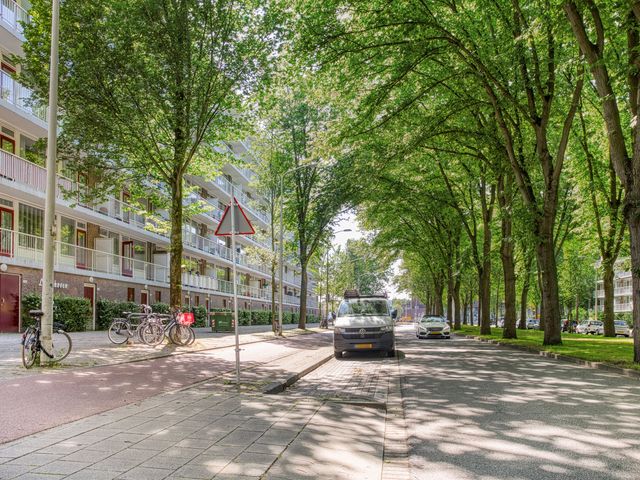 Volendamlaan 1096, Den Haag