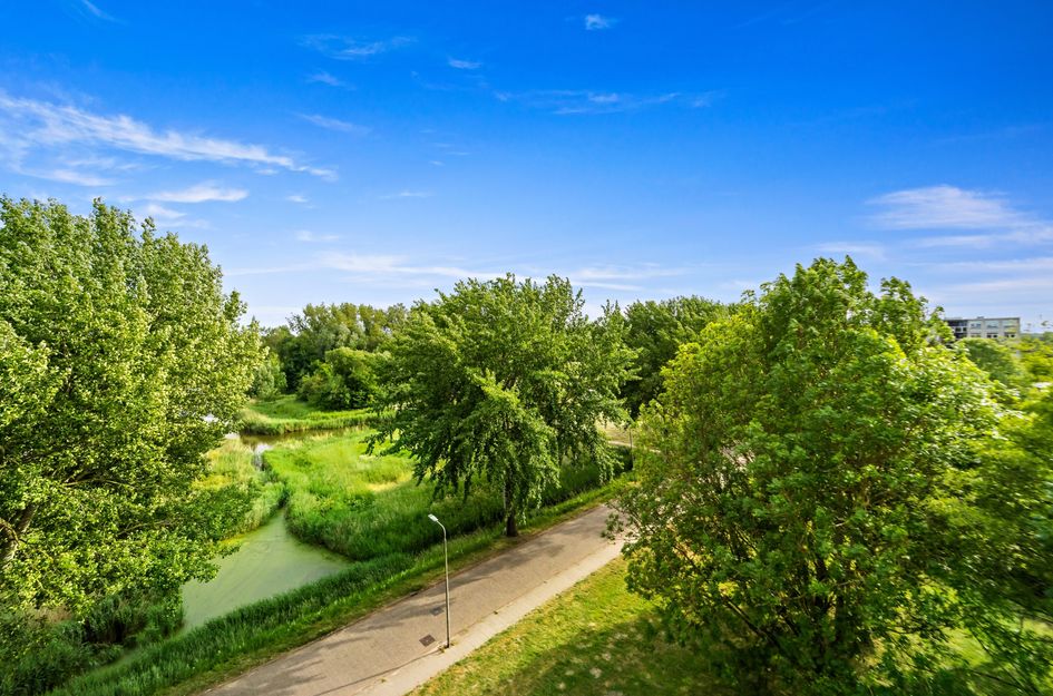 Arendlaan 52