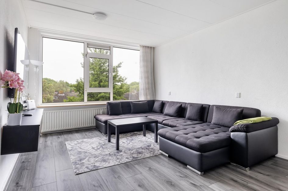 Schipbeekstraat 242