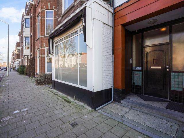 Beeklaan 345C, 's-Gravenhage