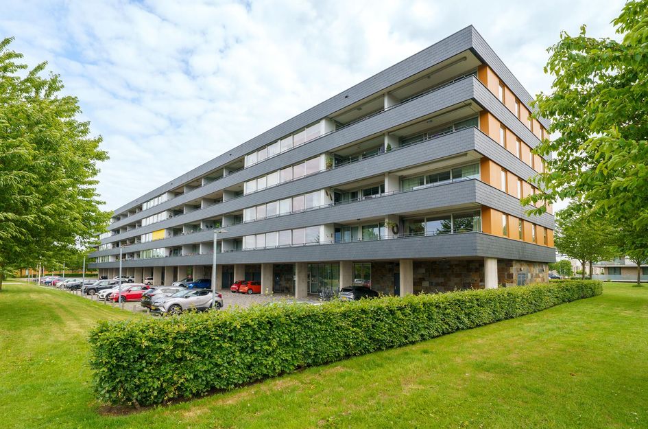 Grootzeil 282