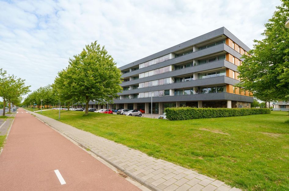 Grootzeil 282