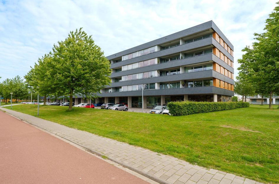Grootzeil 282