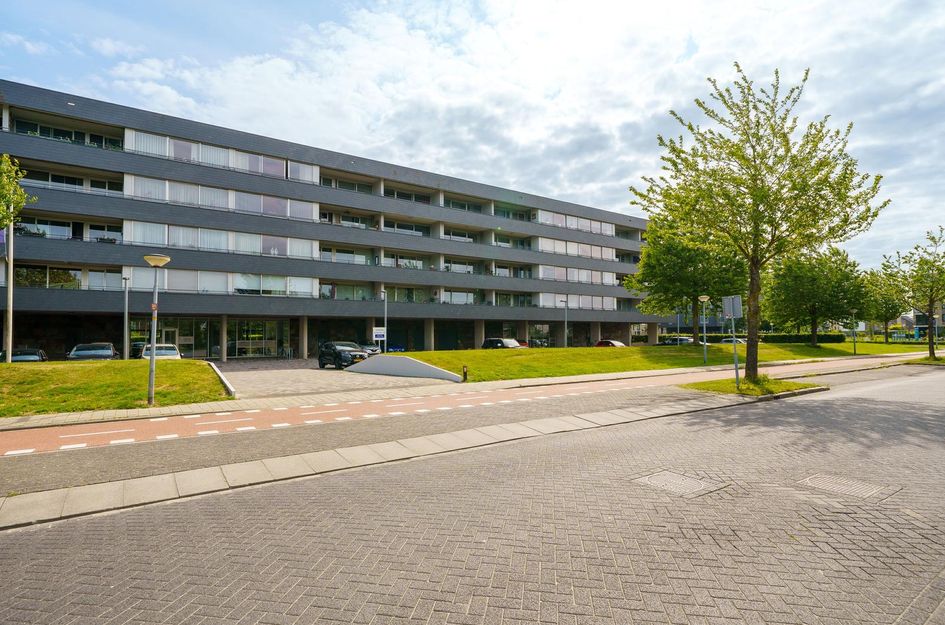 Grootzeil 282
