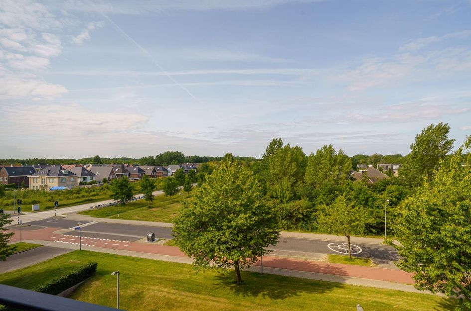 Grootzeil 282