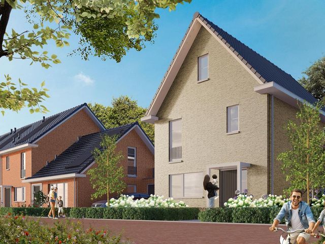 Multifunctionele woning , Pannerden