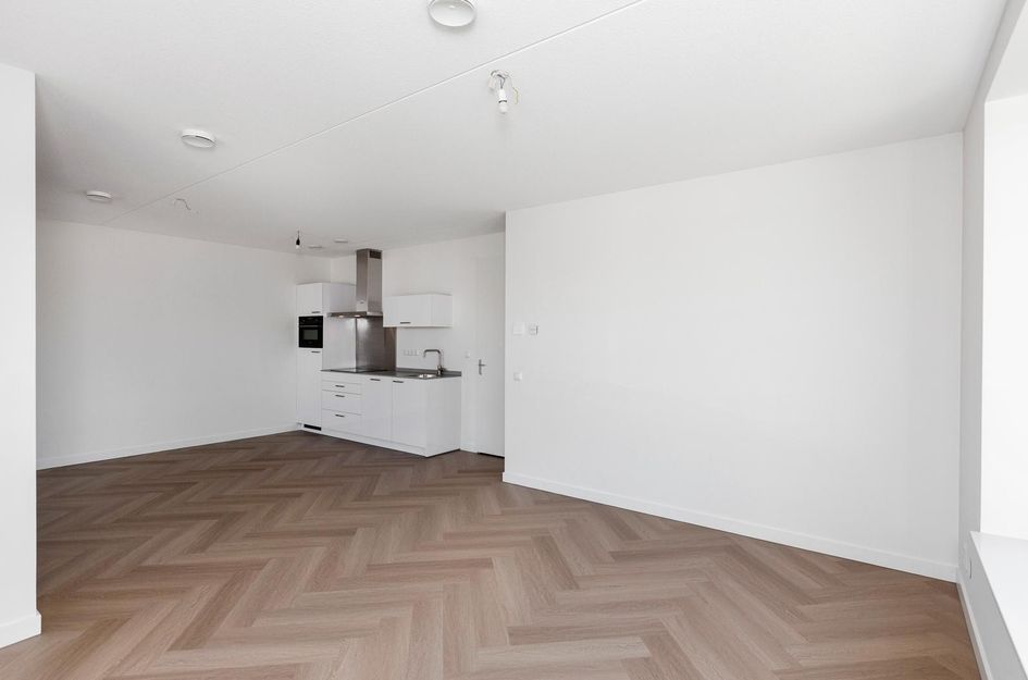 Oranjeboomstraat 4A