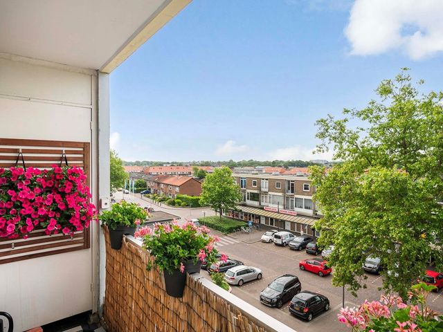 Talingweg 95, Apeldoorn