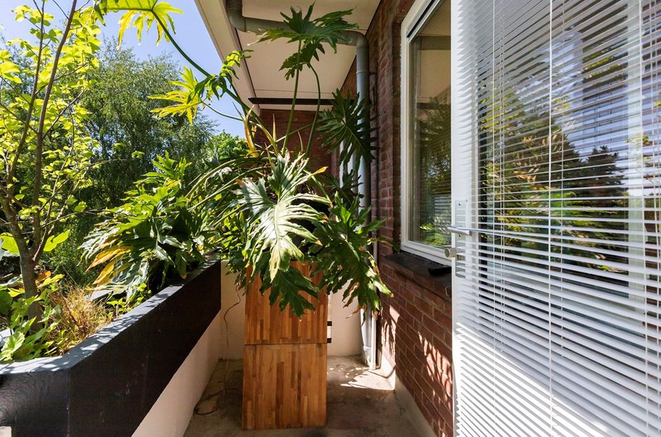 Saturnusstraat 15