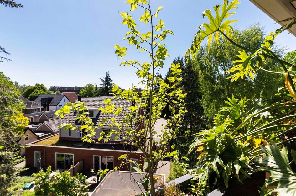 Saturnusstraat 15