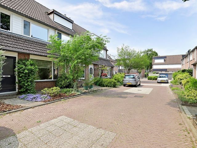 Vioolerf 14, 's-Gravendeel