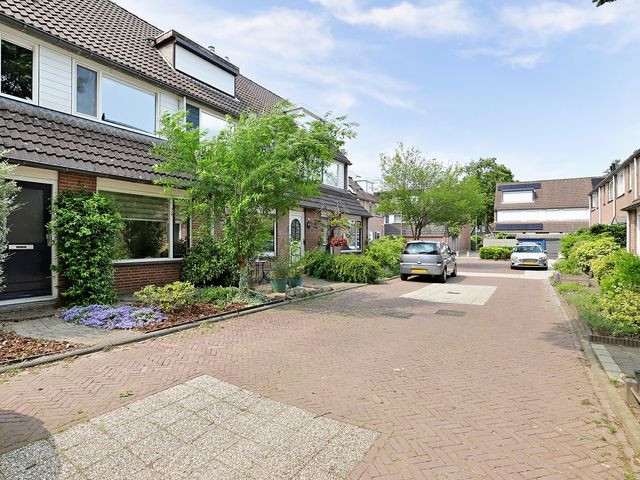 Vioolerf 14, 's-Gravendeel