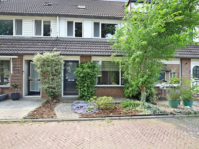 Vioolerf 14, 's-Gravendeel