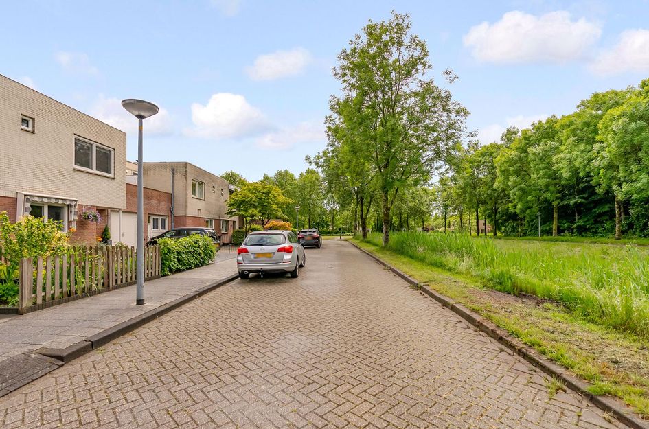 Beukenhof 94