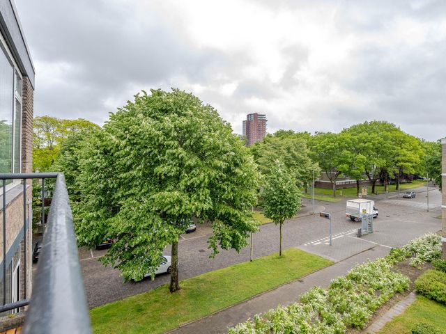 Drijfhoutstraat 5, Rotterdam