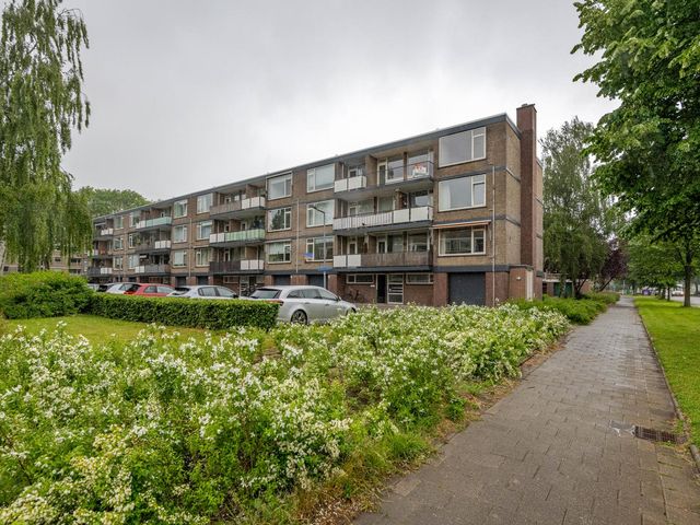 Drijfhoutstraat 5, Rotterdam