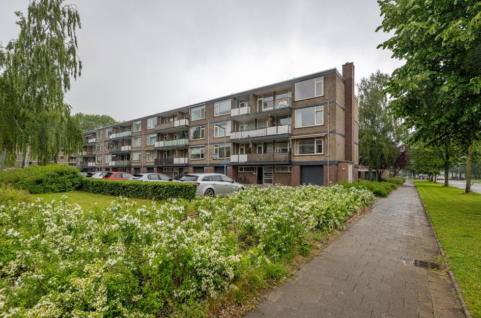 Drijfhoutstraat 5
