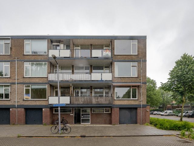 Drijfhoutstraat 5, Rotterdam