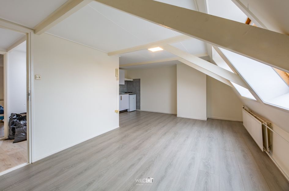 Singel 61
