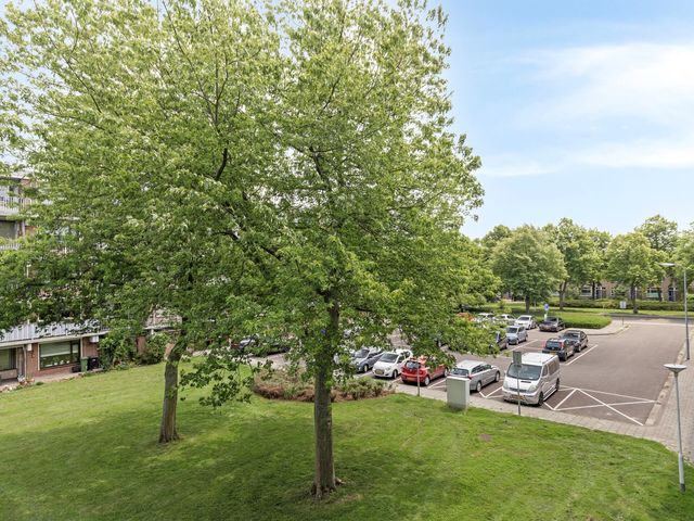 Banckertstraat 39, Terneuzen