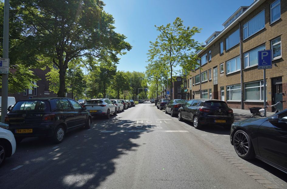 De La Reyweg 265