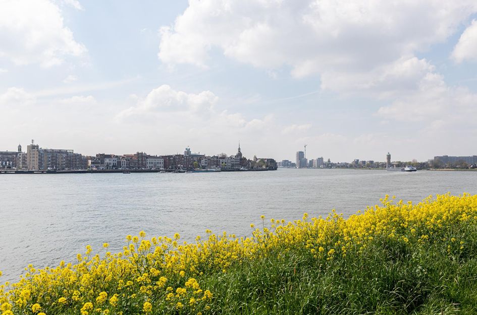 Merwehoofd 79