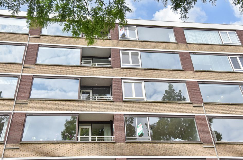 Streksingel 53