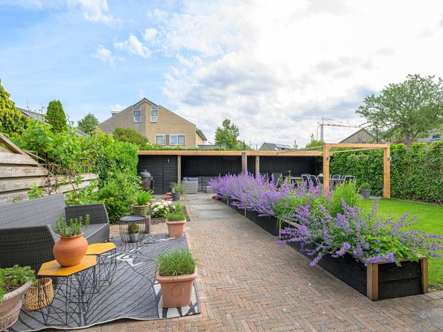 Keizerfazant 23, Heerhugowaard