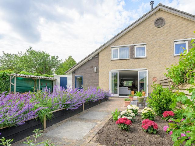 Keizerfazant 23, Heerhugowaard