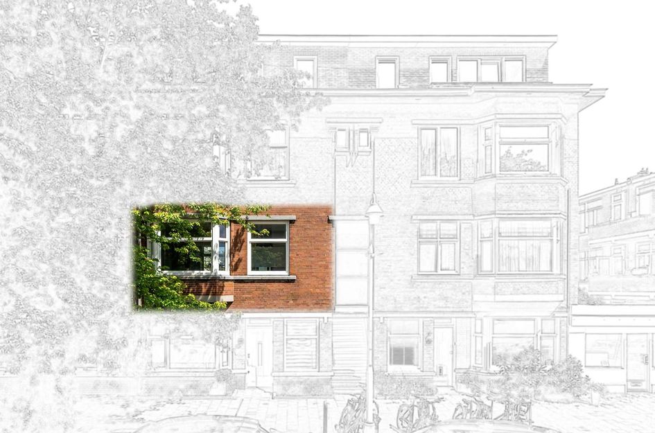 Abrikozenstraat 143