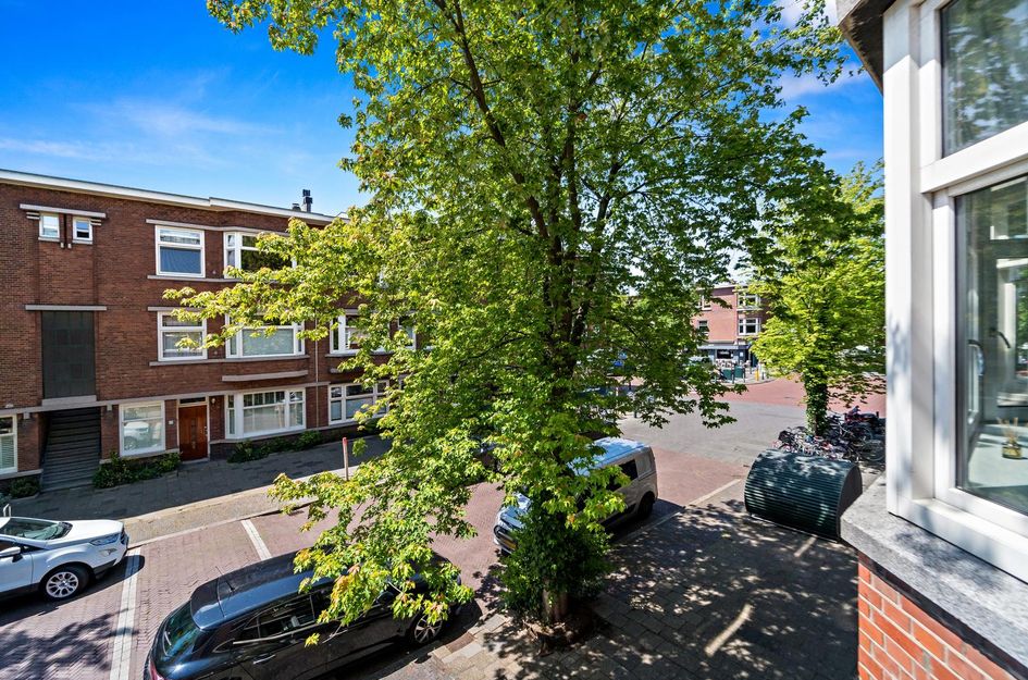 Abrikozenstraat 143